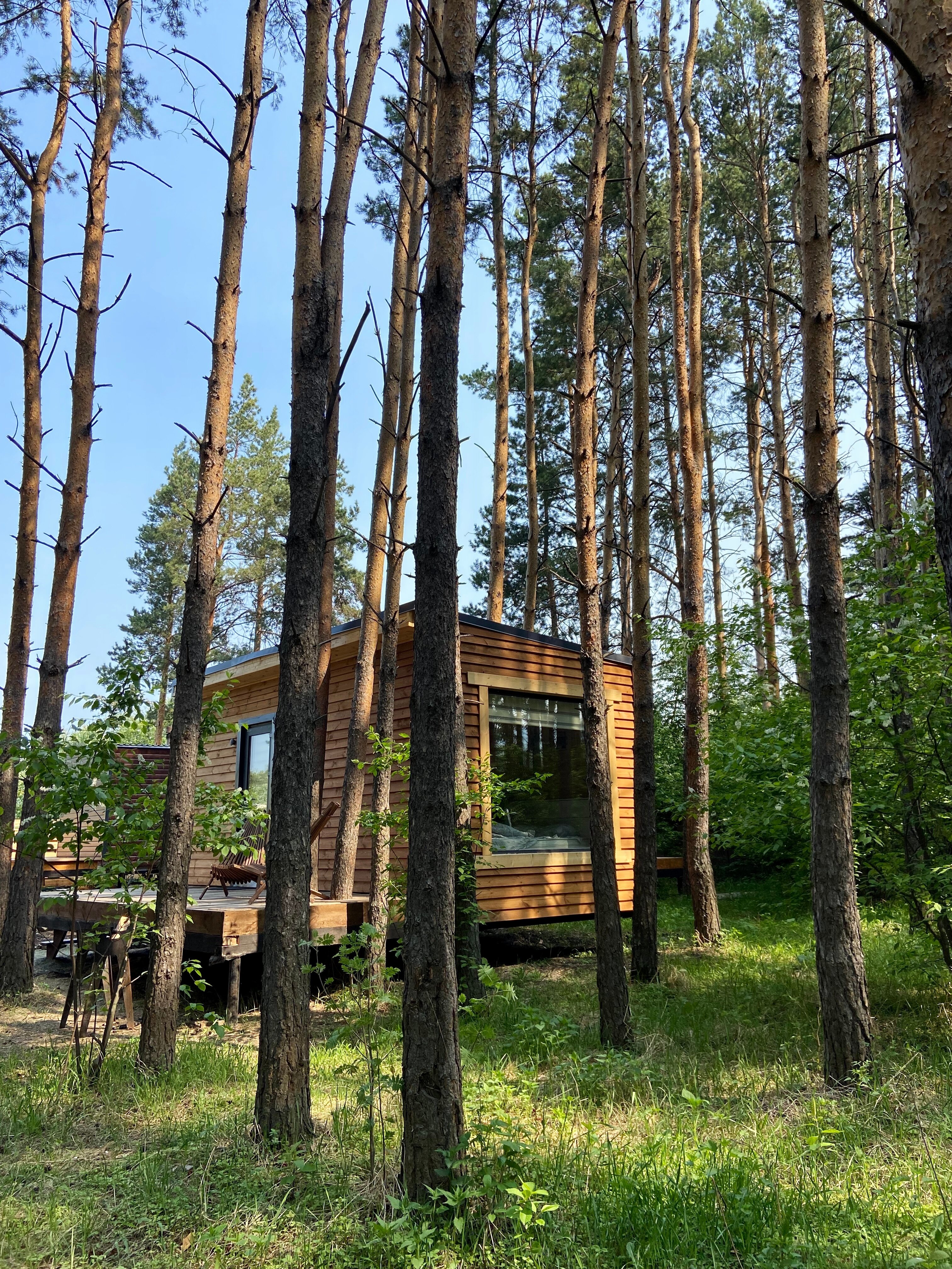 Фото Шалаш парк