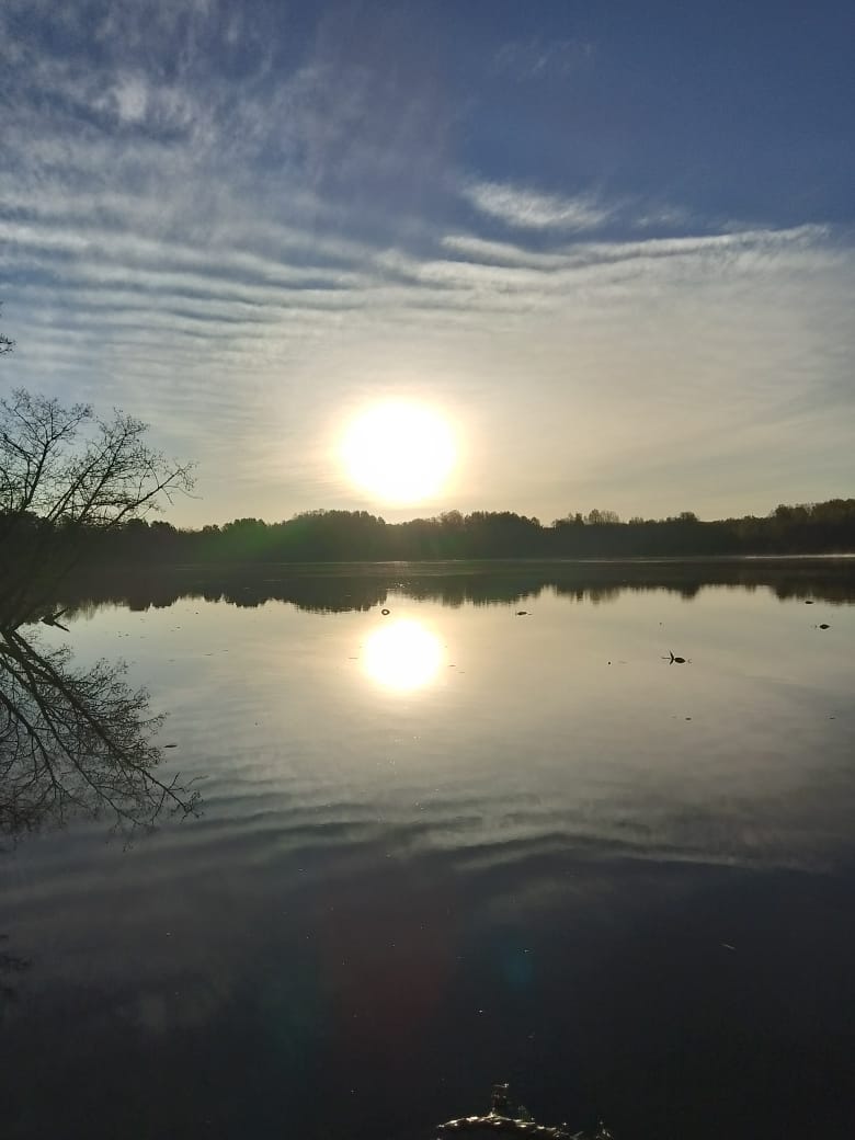 Фото Красный бор