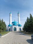 Shamil Mosque (Boriskovskaya Street, 64) ، مسجد