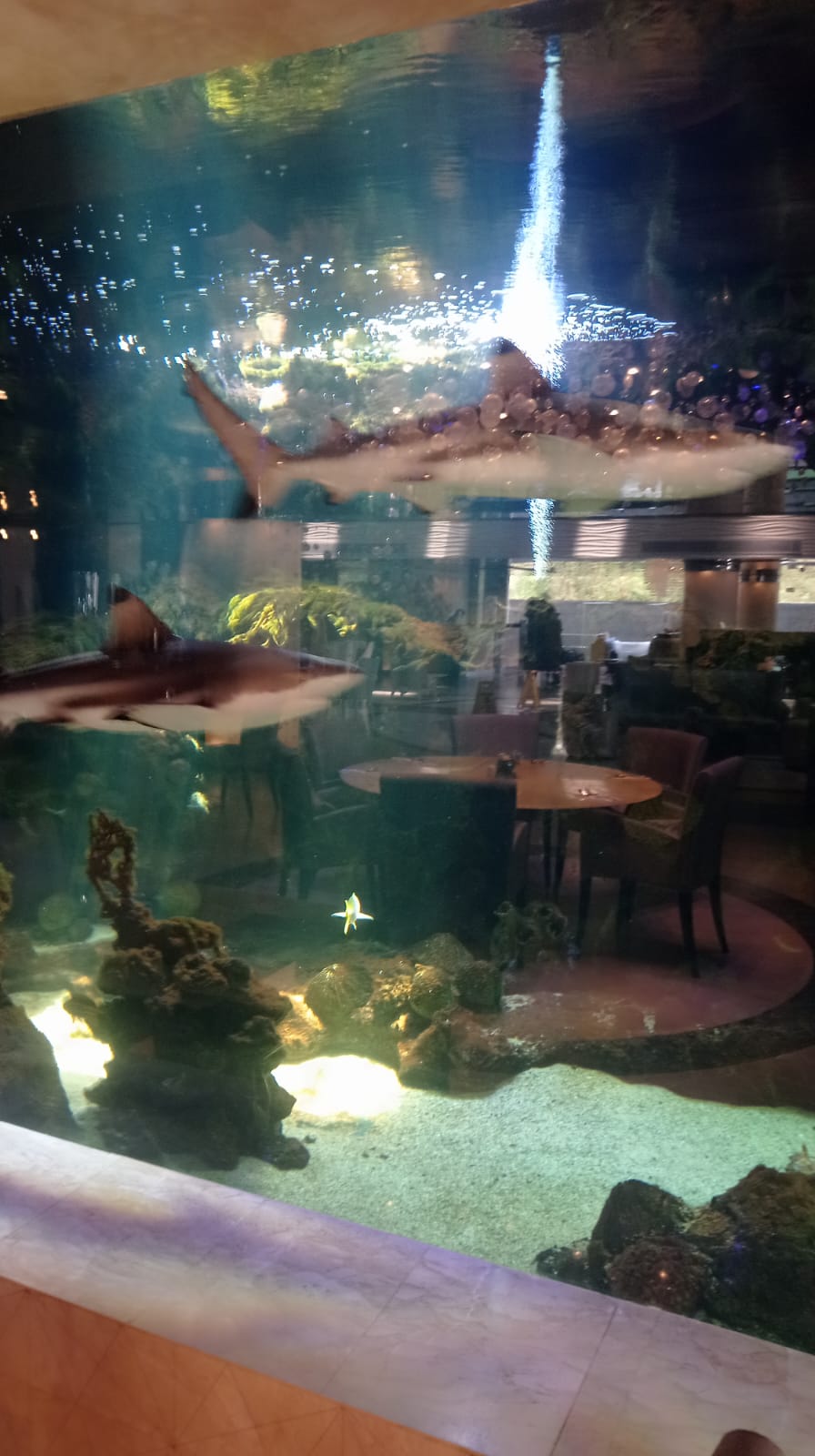 Фото The Sanctuary Resort Pattaya, BW Signature Collection