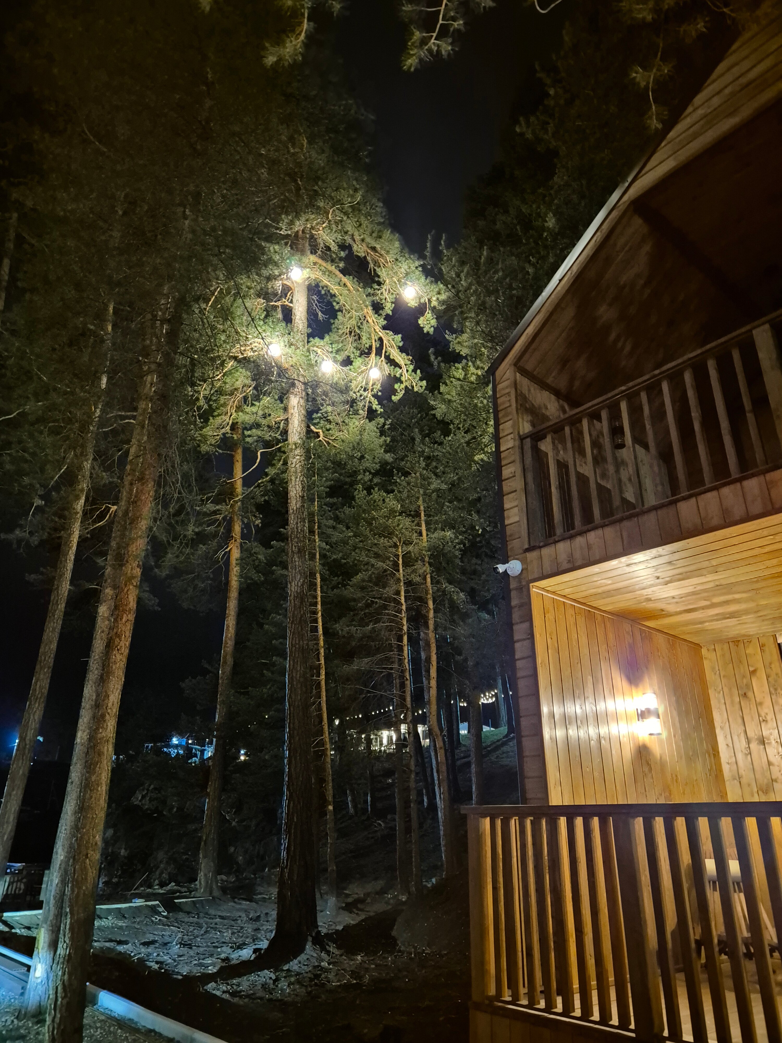 Фото АльбАгир