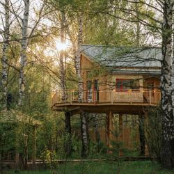 Фото Лапочкино гнездо Дома на деревьях