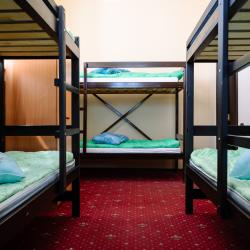 Фото Вежливый лось на Дмитровской