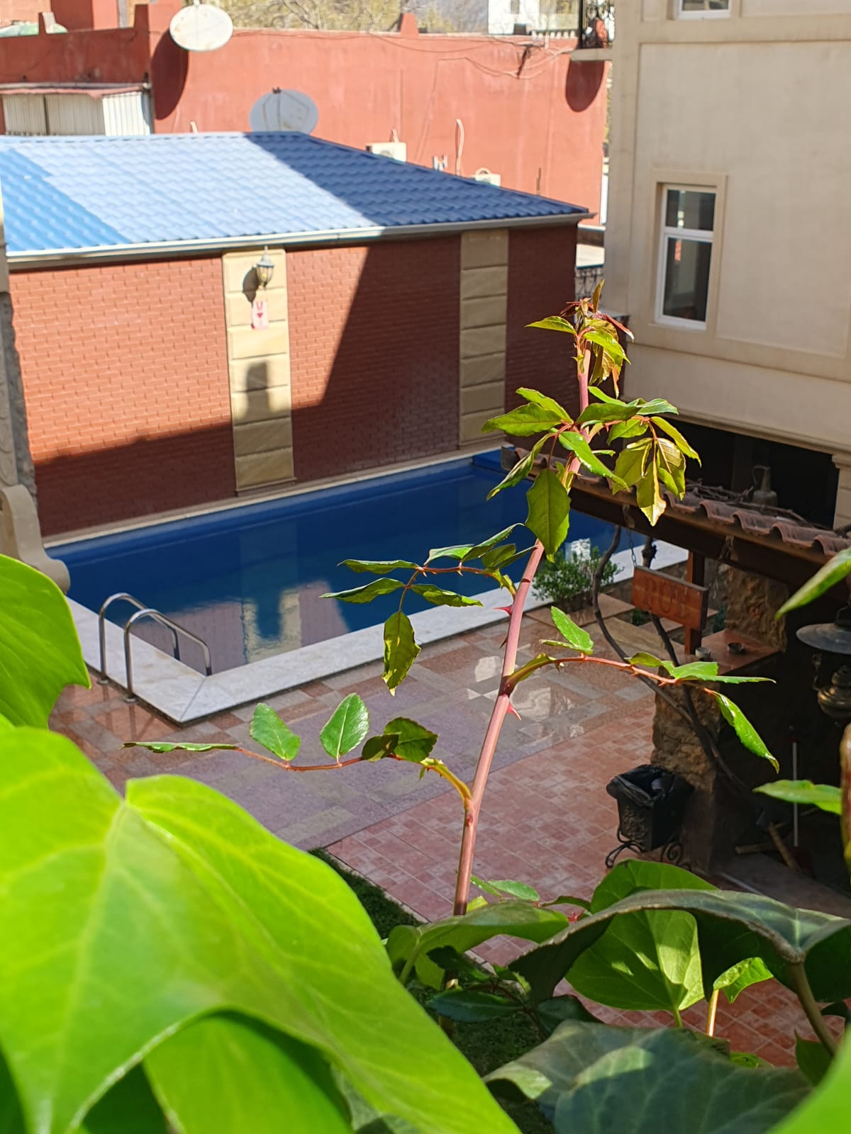 Фото East Legend