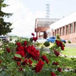 Фото Синдика