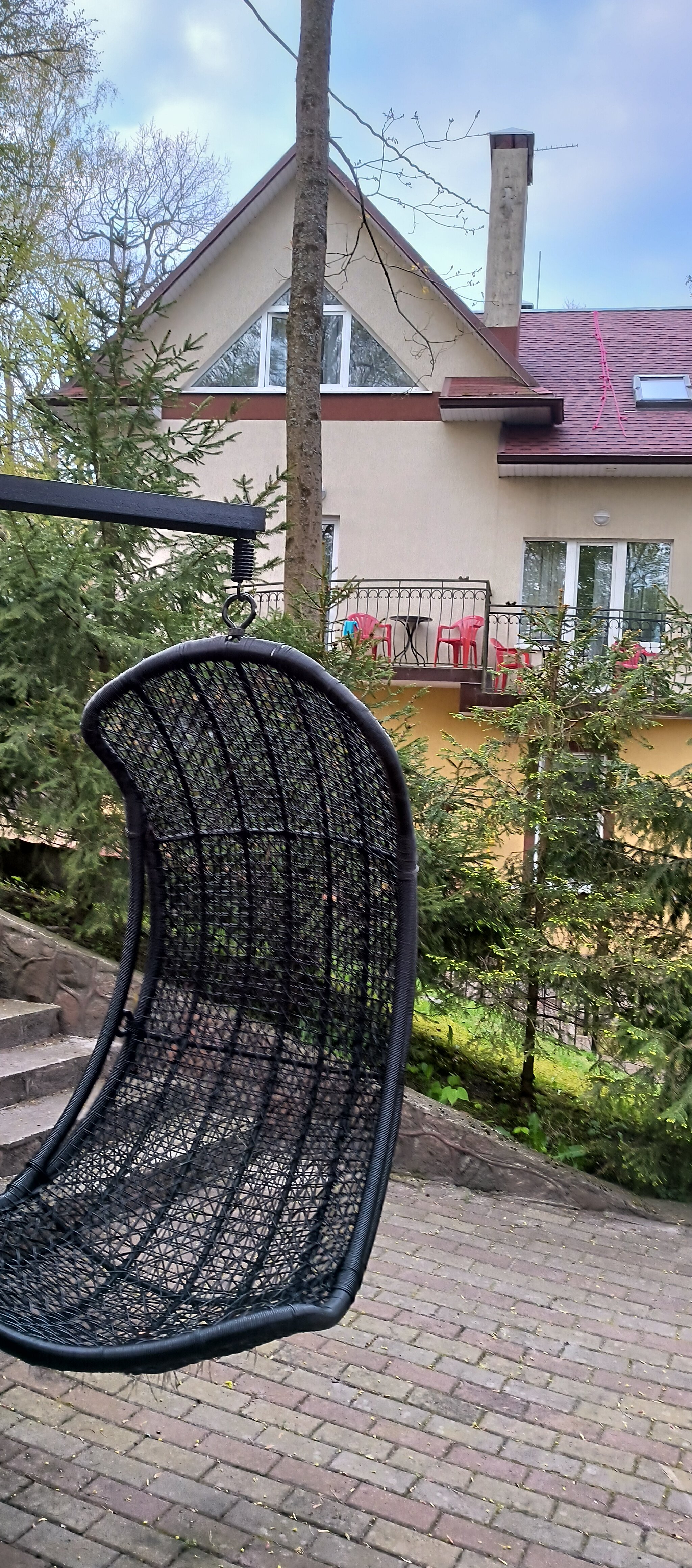 Фото Фламинго