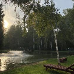 Фото Уютный домик в лесу у пруда