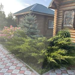 Фото Лукоморье