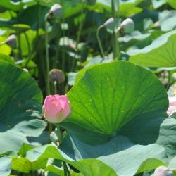 Фото Семь Островов