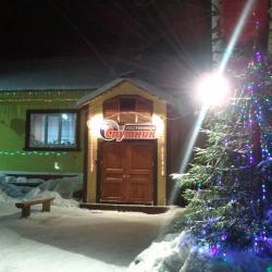 Фото Спутник