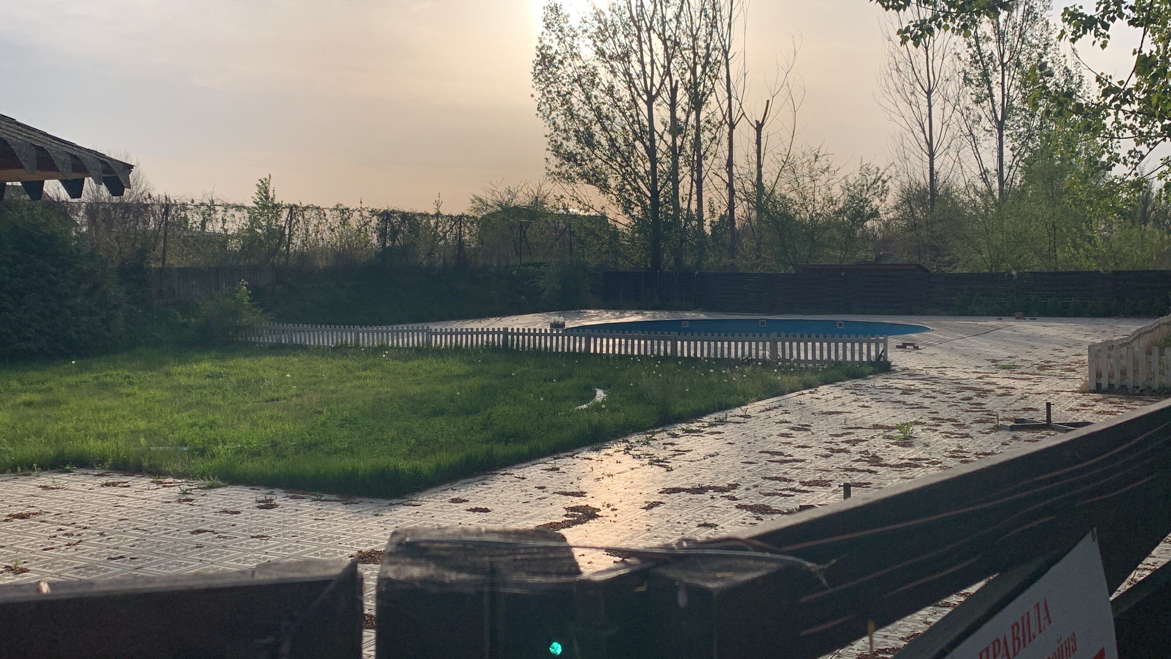 Фото Росинка