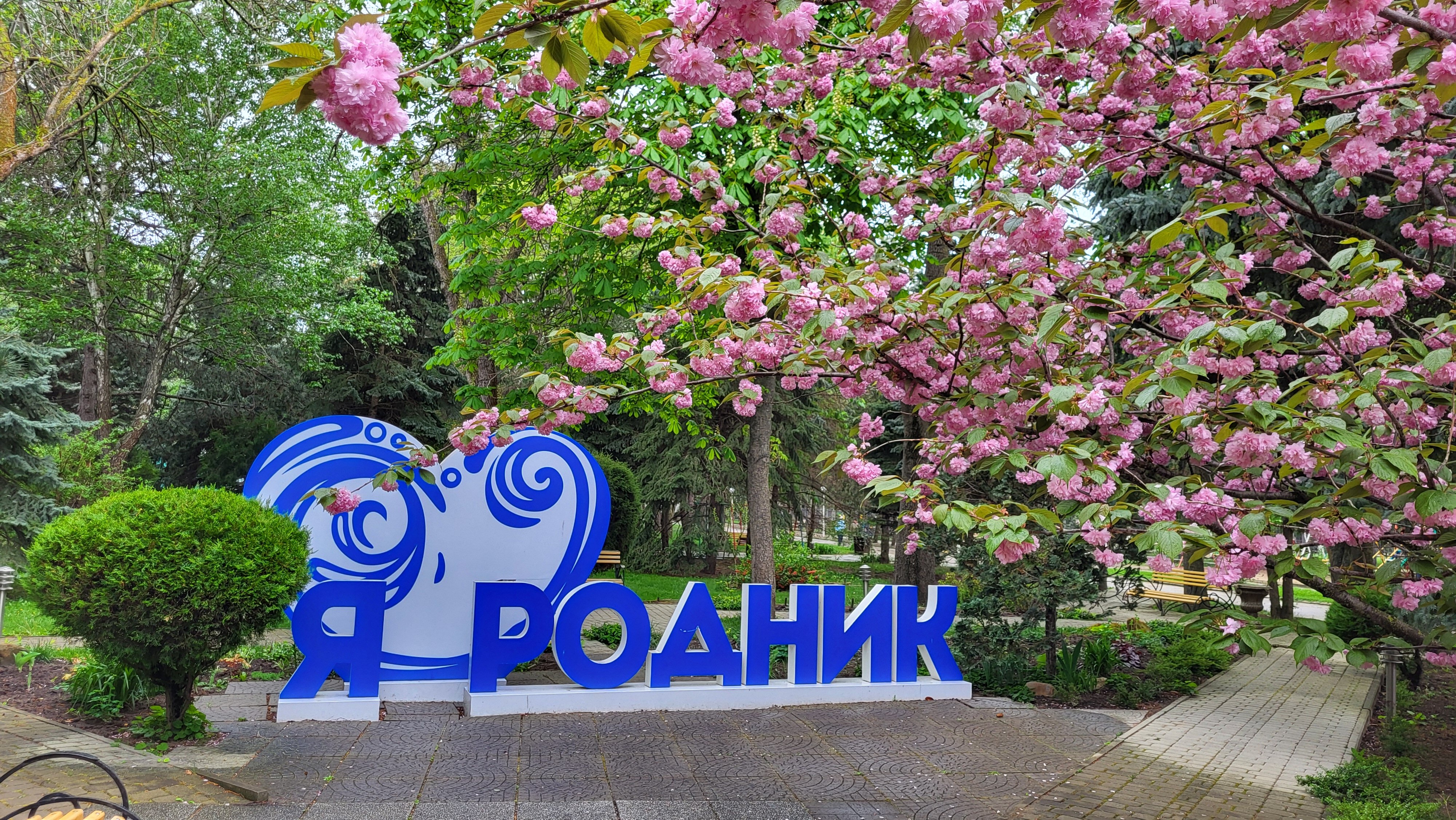 Фото Родник