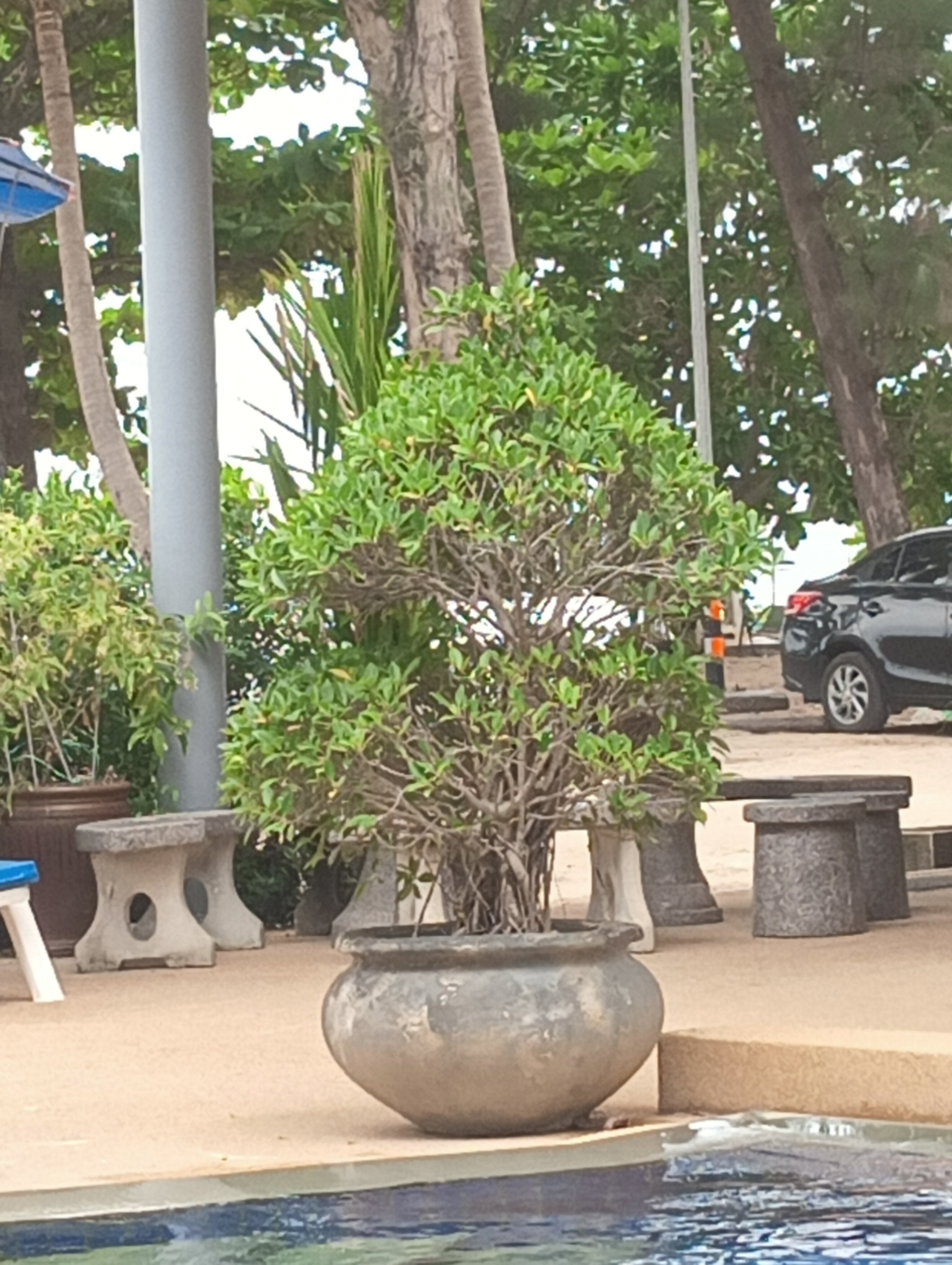 Фото In On The Beach