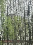 Водонапорная башня (Kirov Region, posyolok gorodskogo tipa Pizhanka), infraestructura de ingeniería