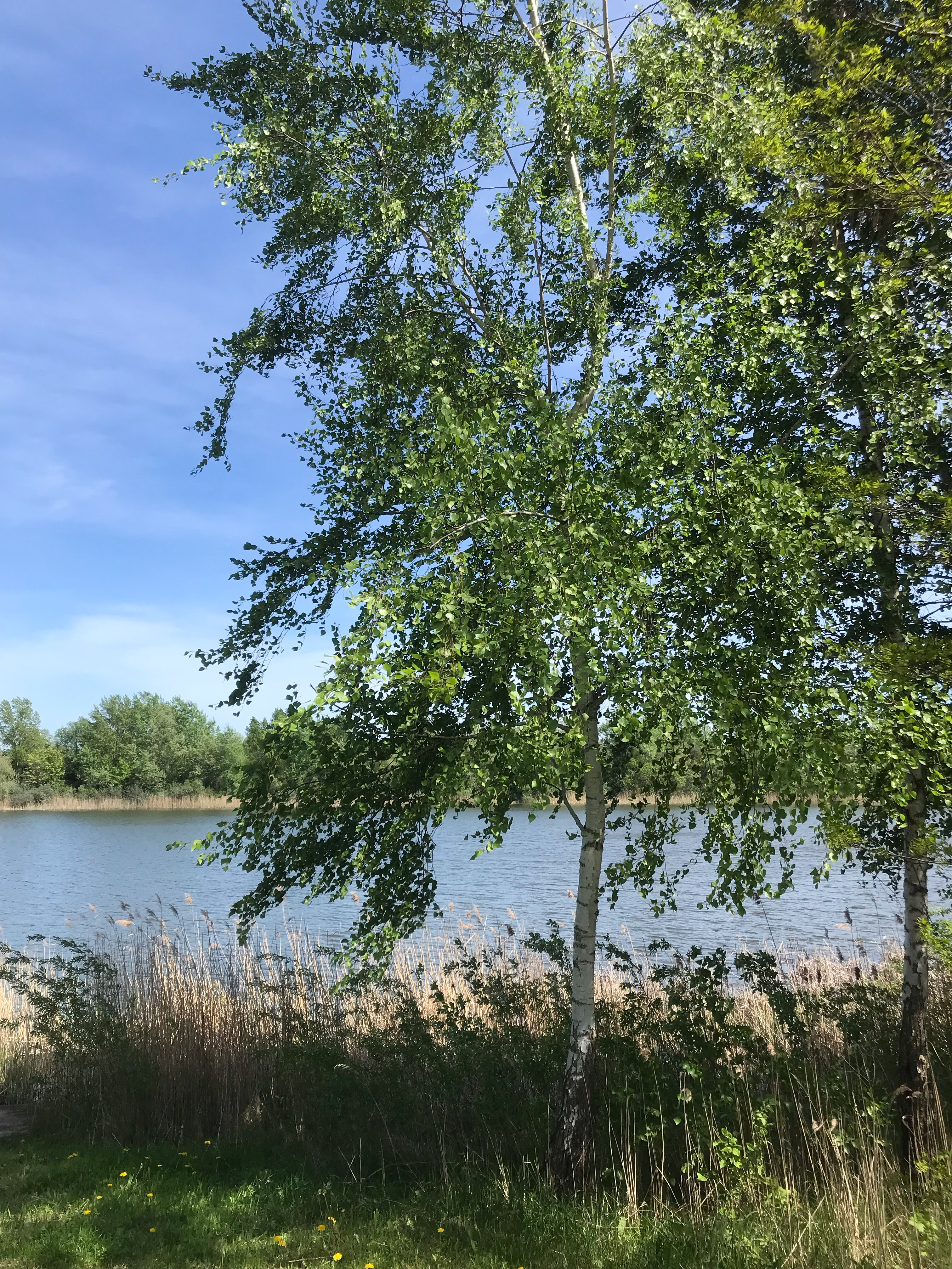 Фото Прибрежный