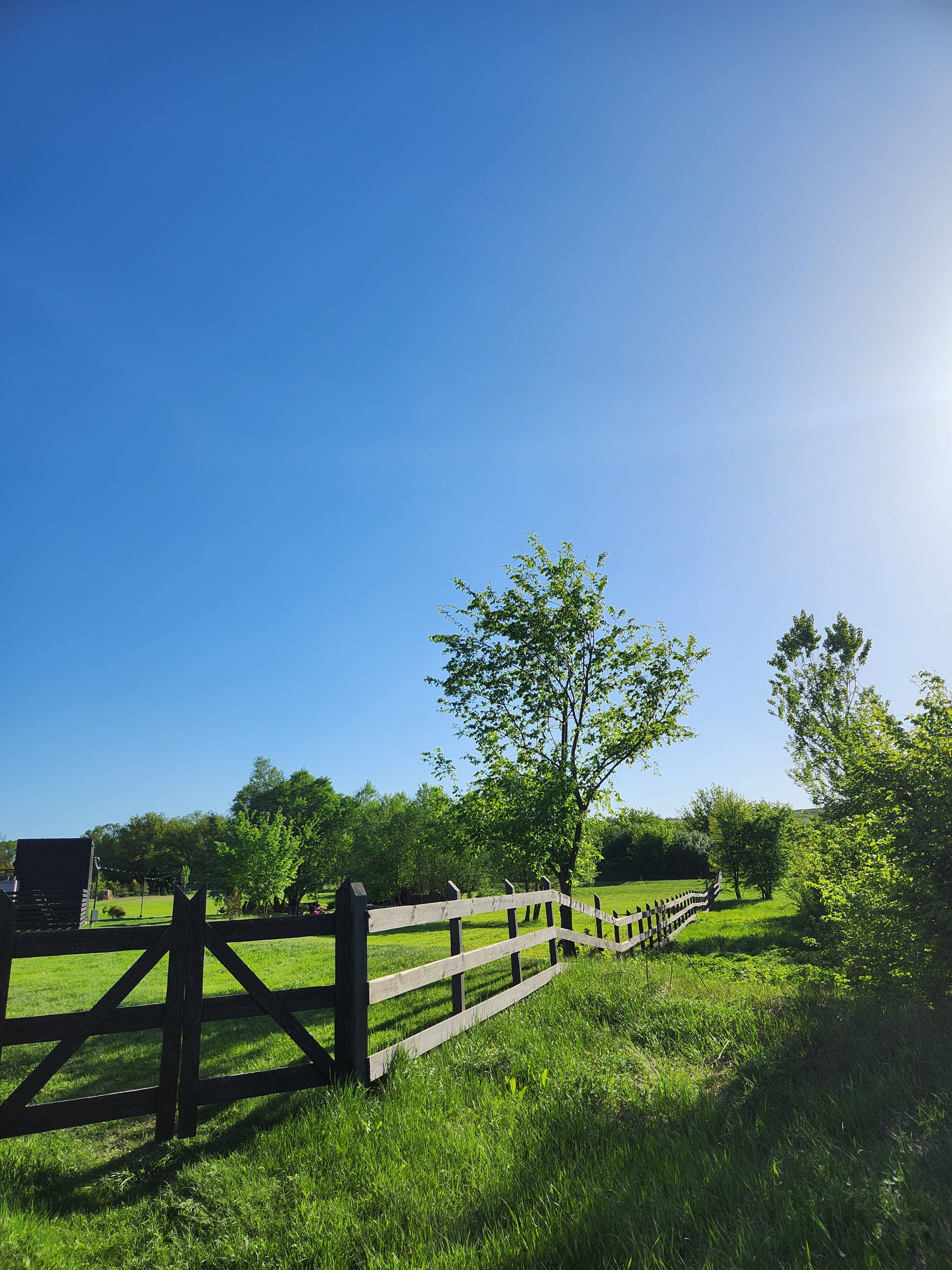 Фото Холки camp
