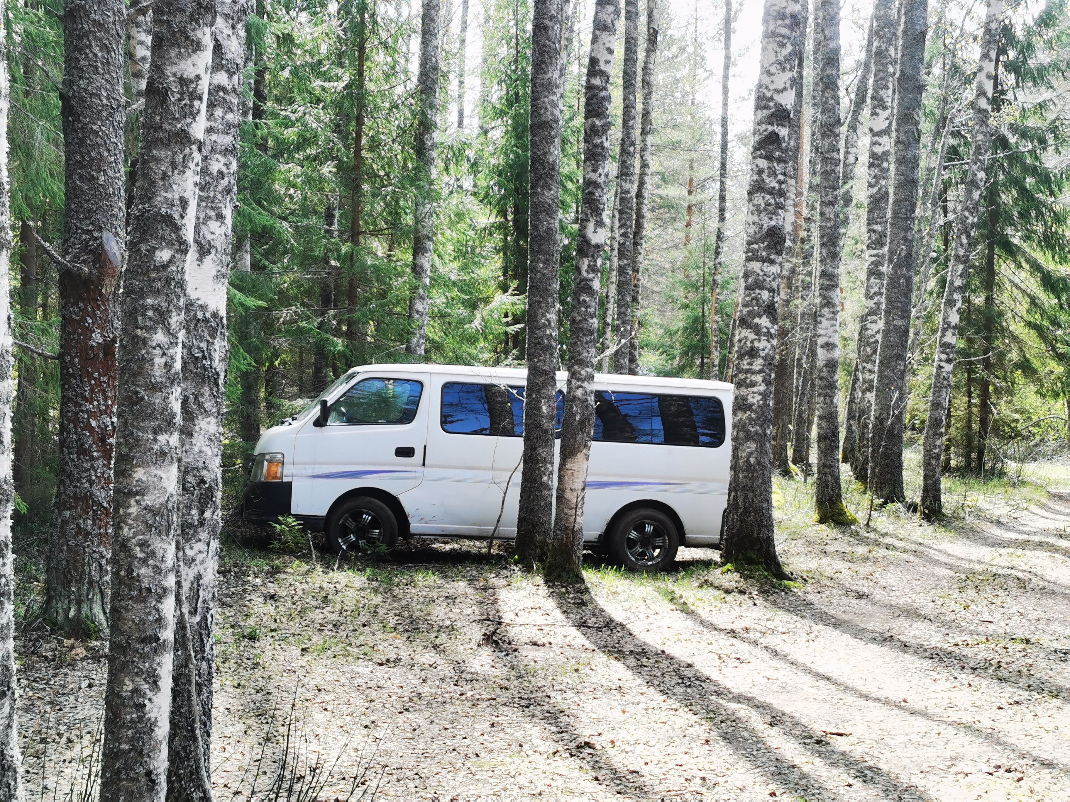 Фото Урочище Машуково