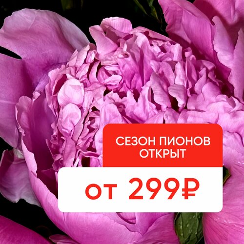 Flower shop Cvetochnii Ryad, Moscow, photo