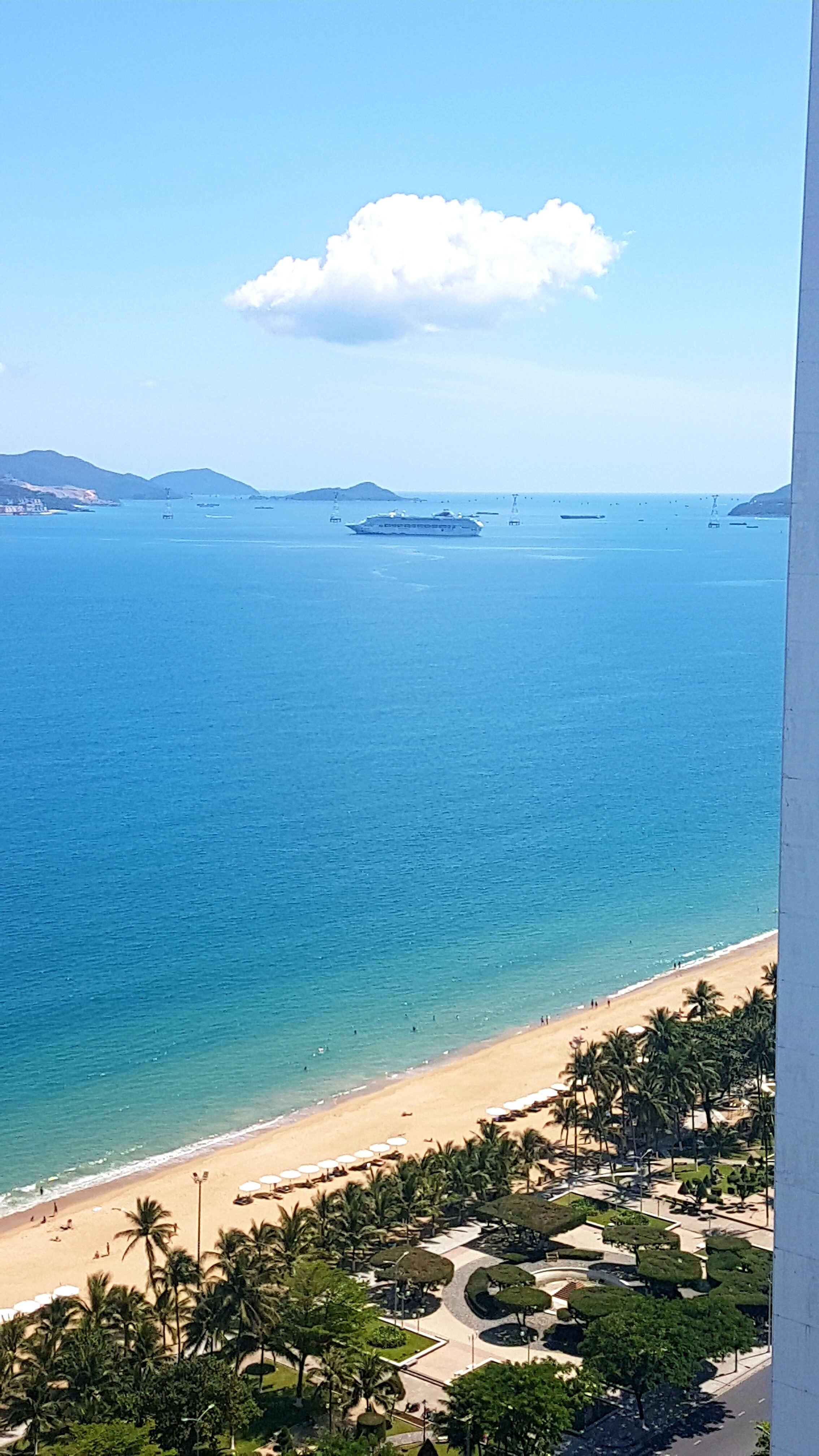 Фото Maple Hotel & Apartment