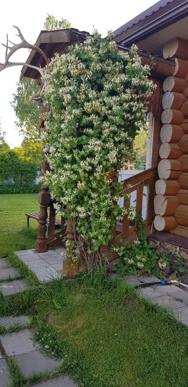 Фото Дом для загородного отдыха