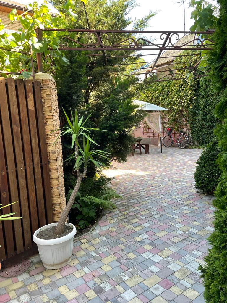 Фото Солнце Тургенева