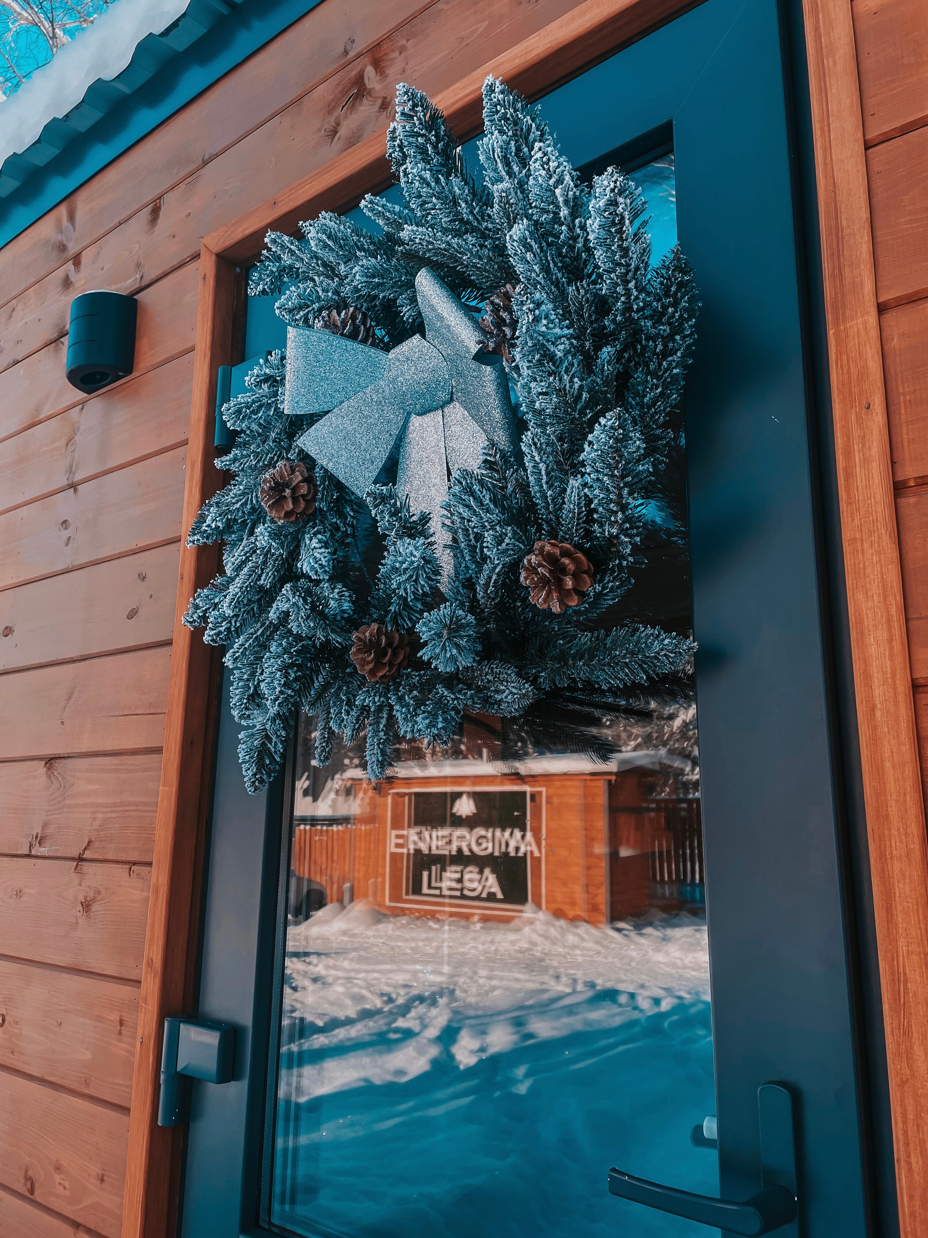 Фото Энергия леса