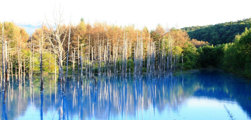 Фото Pension Hoshi Ni Negaiwo