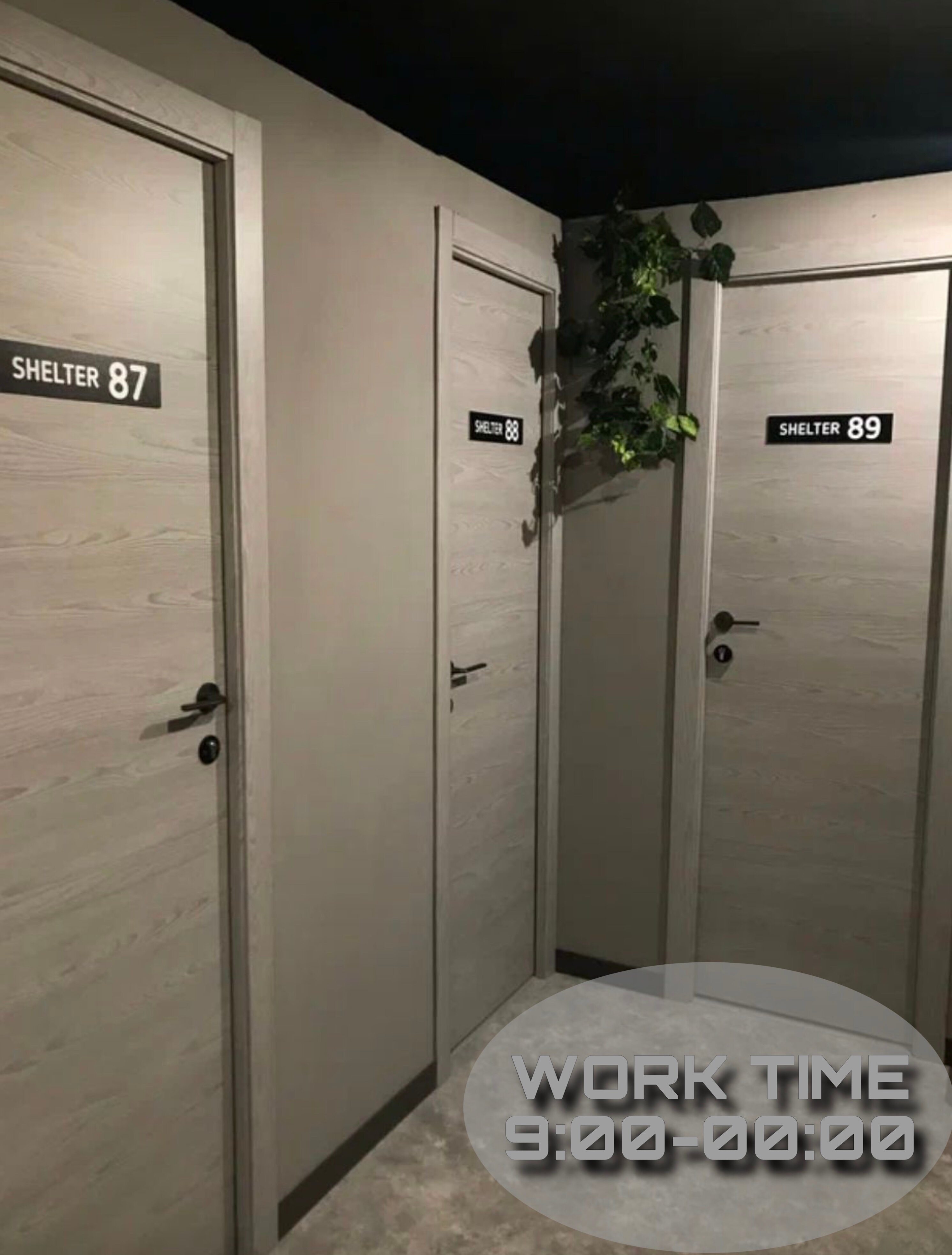 Фото Shelterz Три вокзала