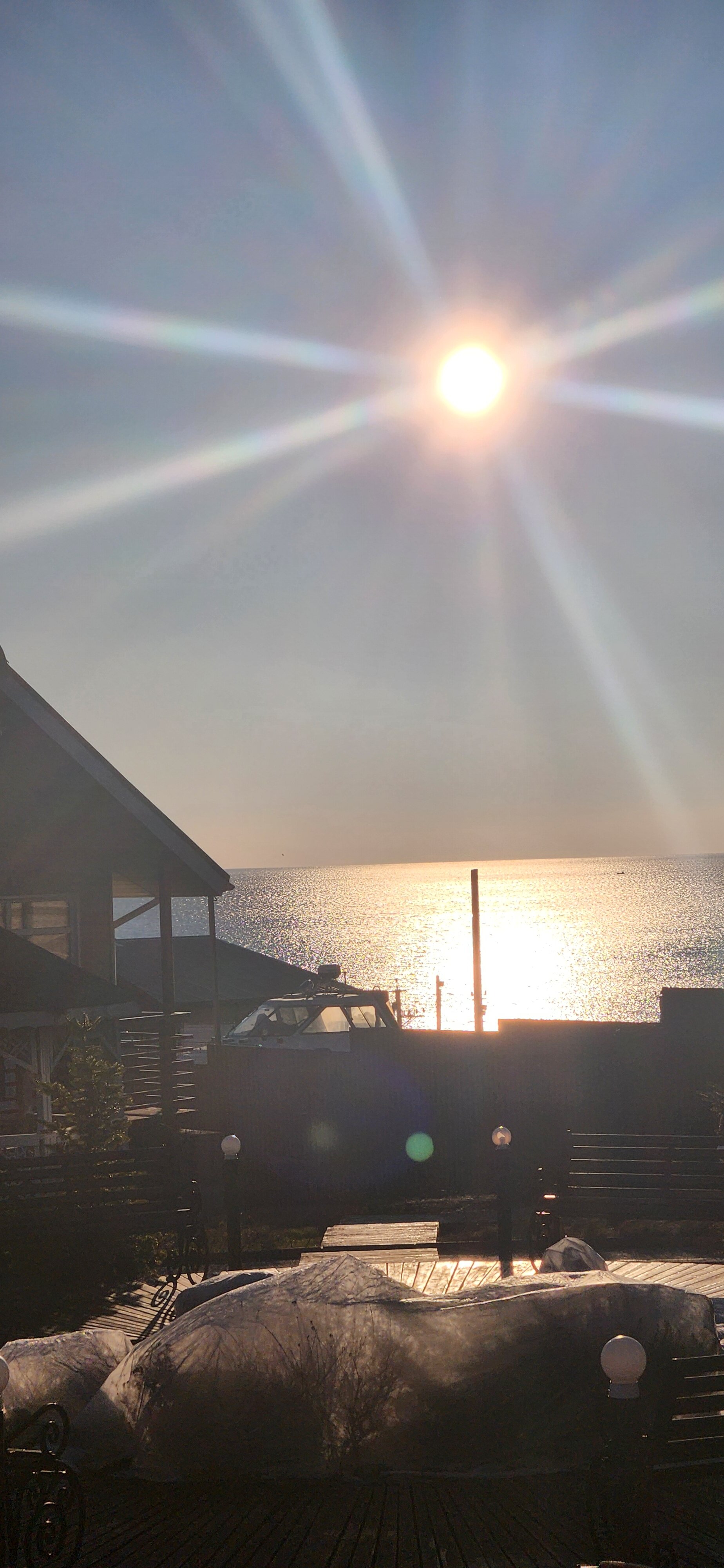 Фото Южанка