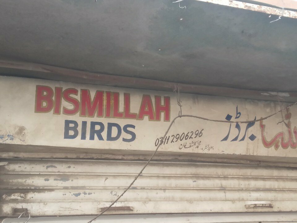Fodder and feed additives Bismillah birds, Karachi, photo