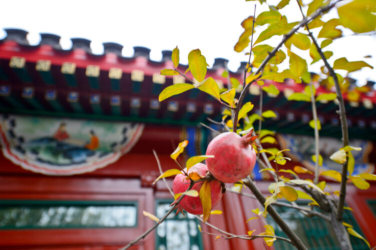 Фото Cours Et Pavillons