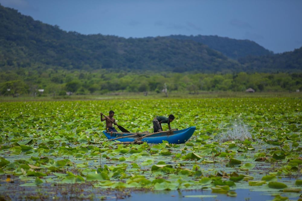 Фото Grand Tamarind Lake