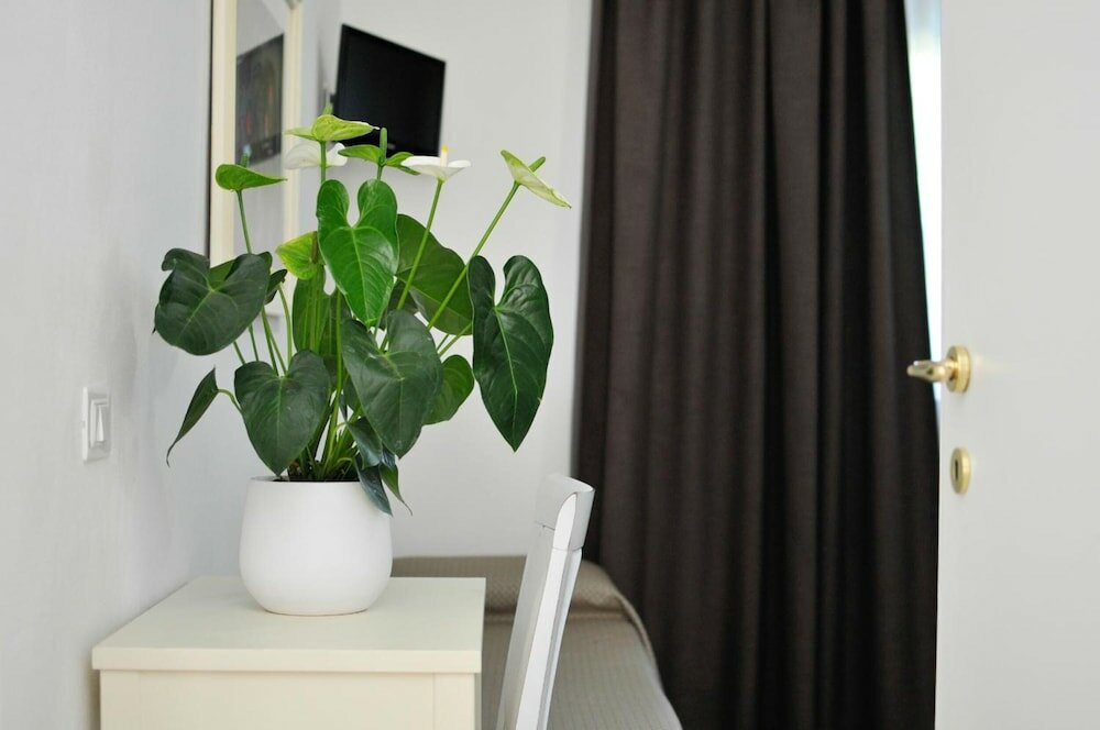 Фото Camere Girasole