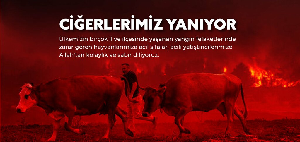 Associations and industrial unions Turkiye Damizlik Sigir Yetistiricileri Merkez Birligi, Ankara, photo