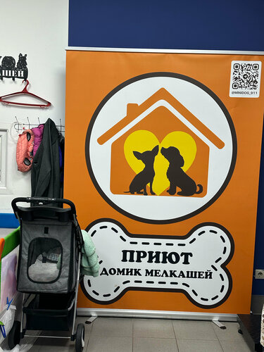 Sinfdoshingiz bilan jinsiy aloqa