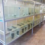 Market Petshop Menderes (Izmir, Menderes, Cuneytbey Neighborhood, Cuneyt Bey St., 50-52A), pet shop