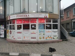 Оболонь (муничипьюл-Бэлци, ул. Дечебал, 3А), магазин пива в Бельцах