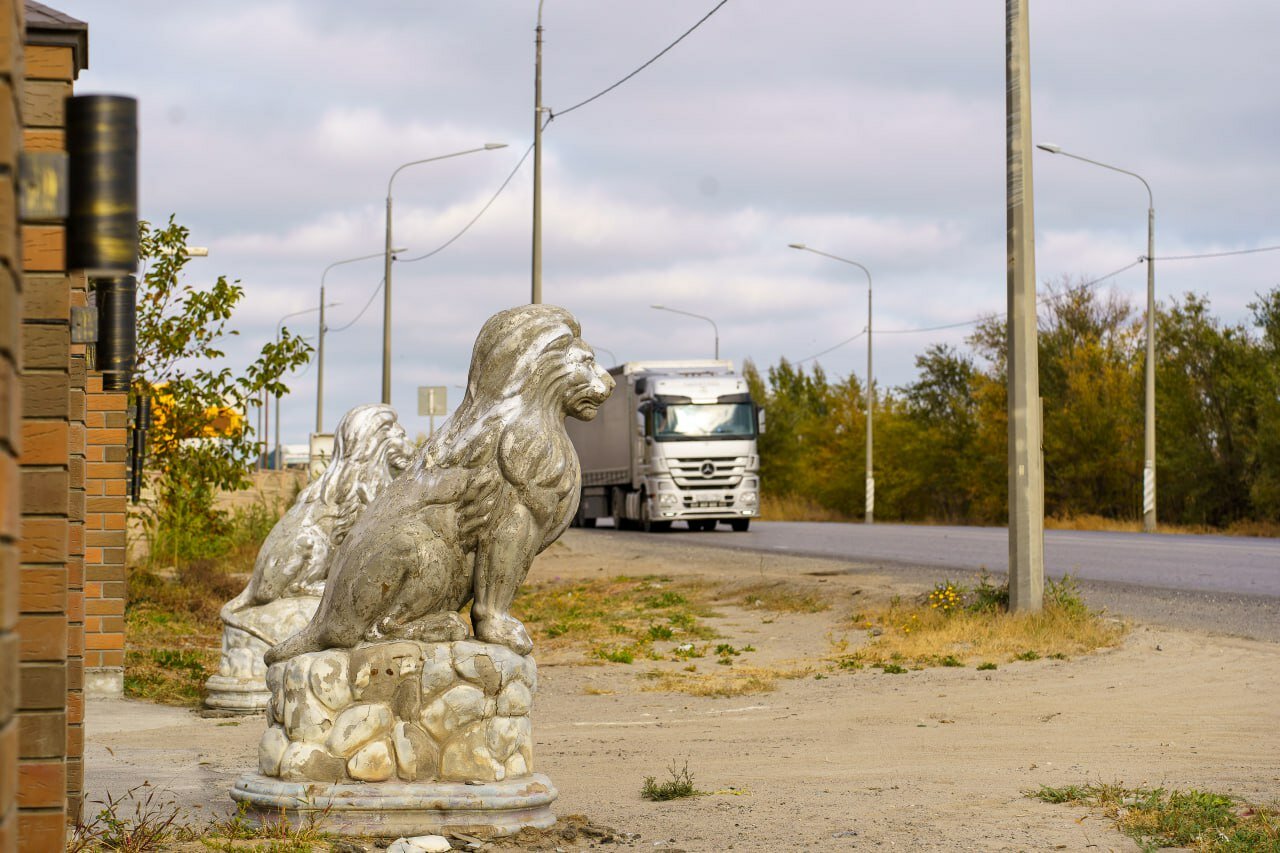 Фото Мирэль