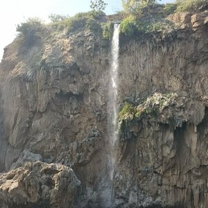 Urban forest (Antalya, Muratpaşa, Çağlayan Mah., 2068. Sok.), park