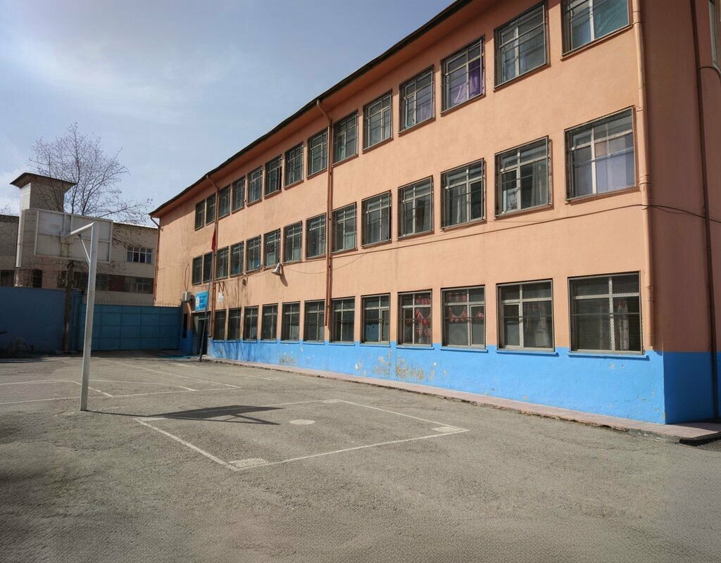 Primary school Gazi Primary School, Siirt, photo