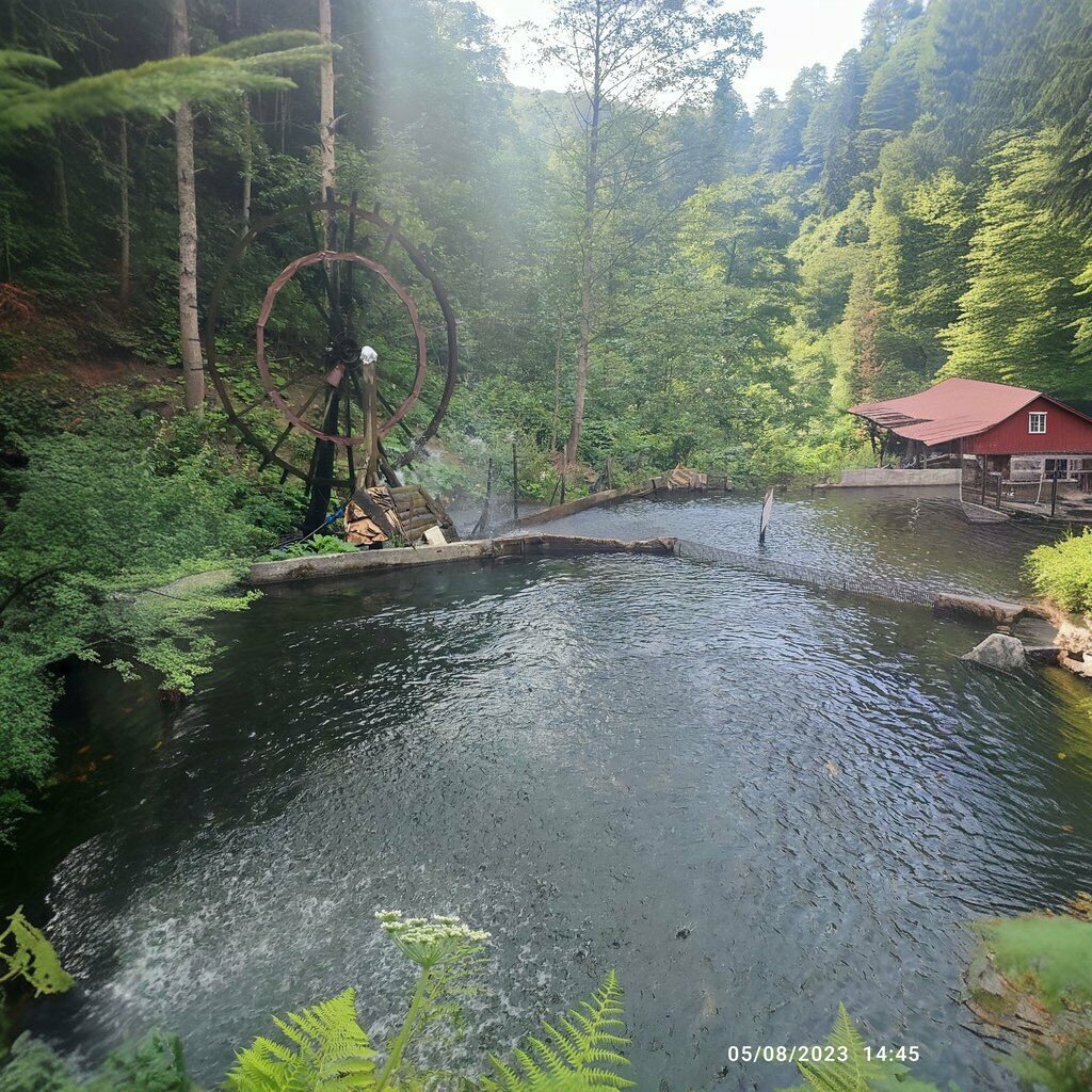 Tour operator Tatilyerim. com.tr, Samsun, photo