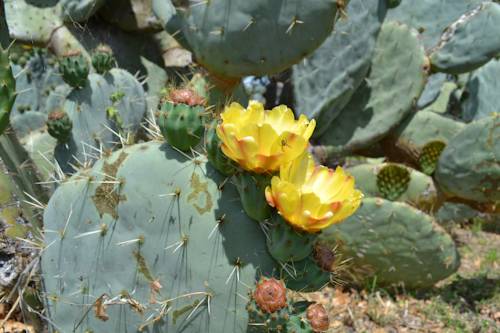 Фото Relais Ciavatta