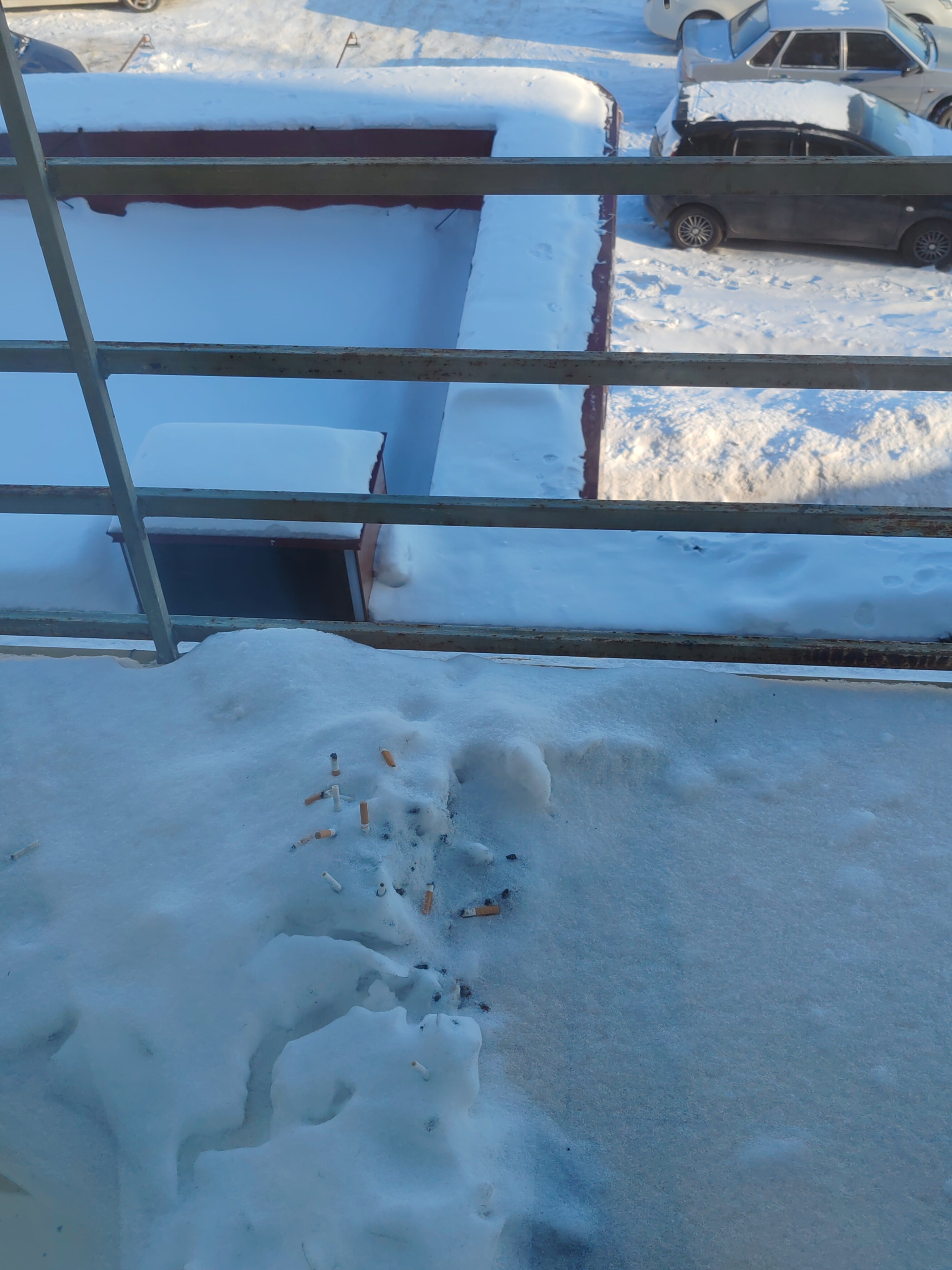 Фото Звездная на Воронежской