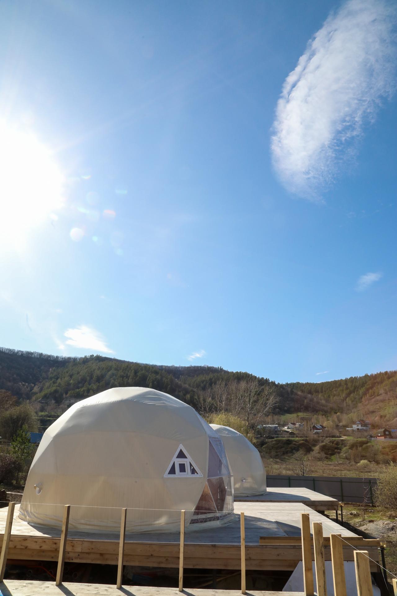 Фото Лисички-сестрички