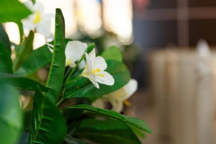 Фото Мартон Бизнес