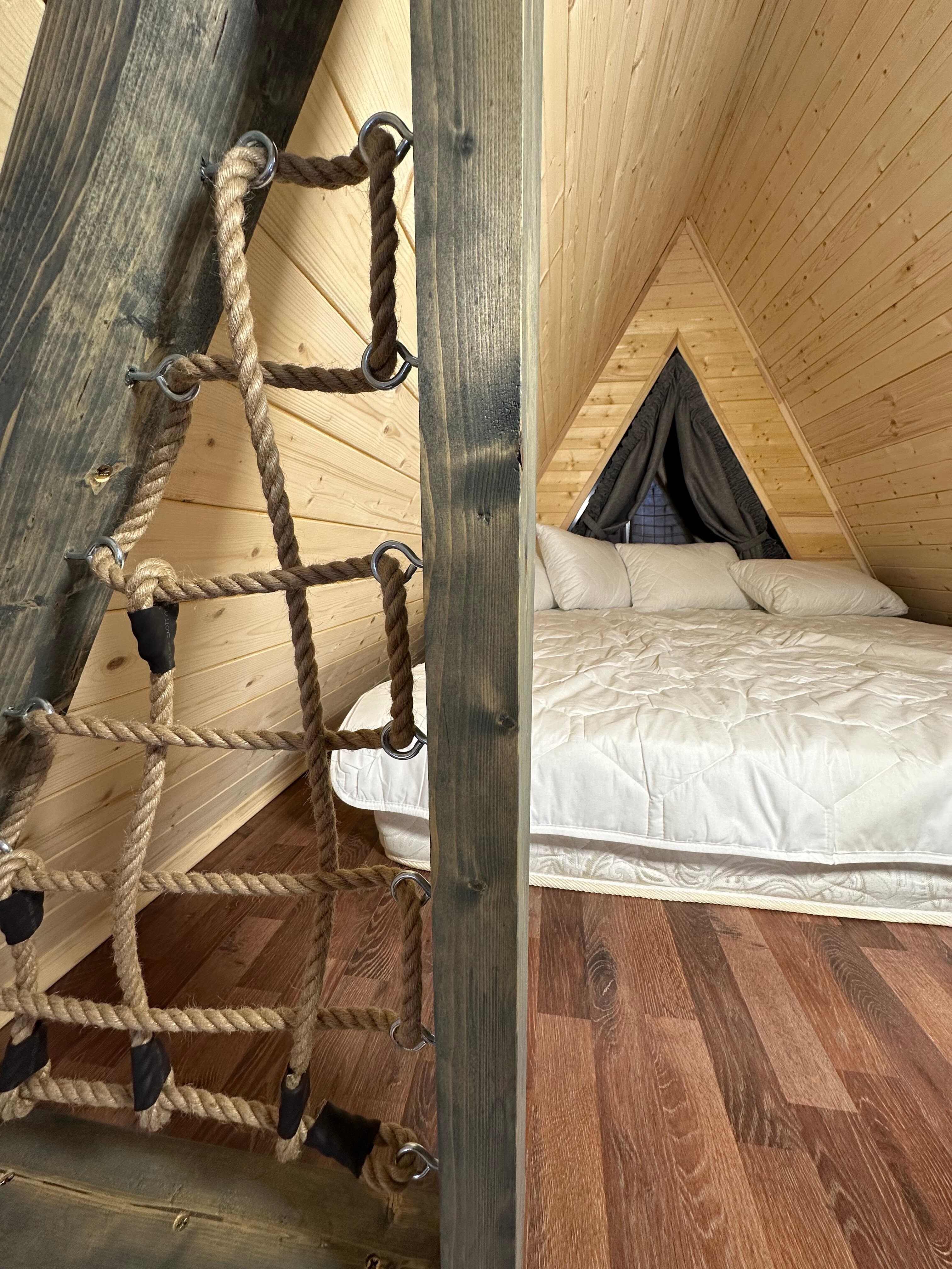 Фото Караси