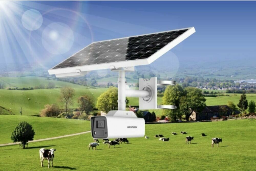 Computer repairs and services Texas System Technology, Abu Dhabi, photo