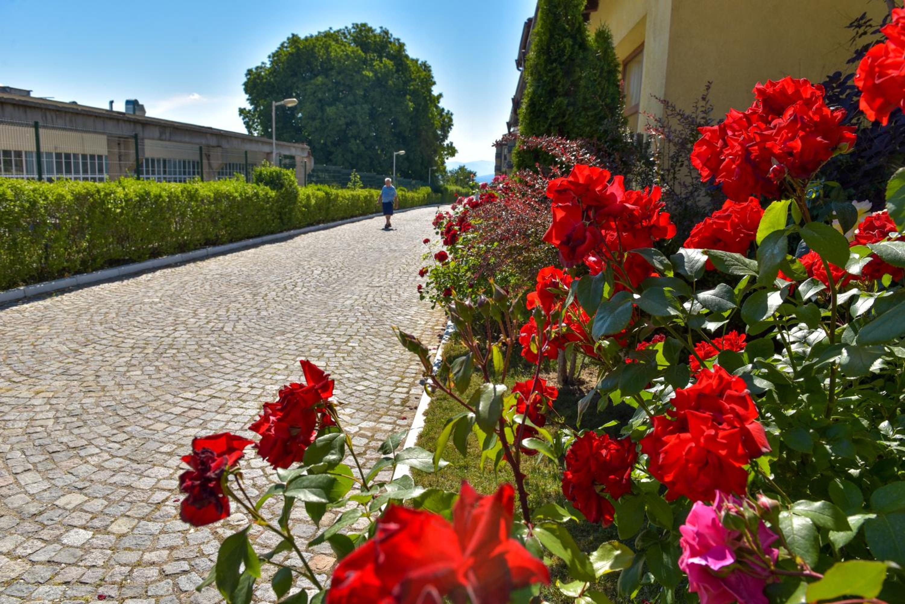 Фото Bojur & Bojurland Apartment Complex