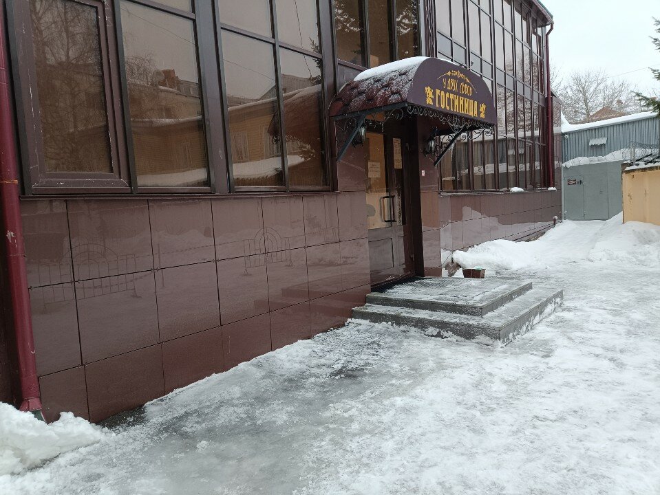 Фото У двух львов