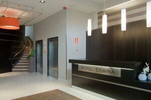 Гостиница Sercotel Codina